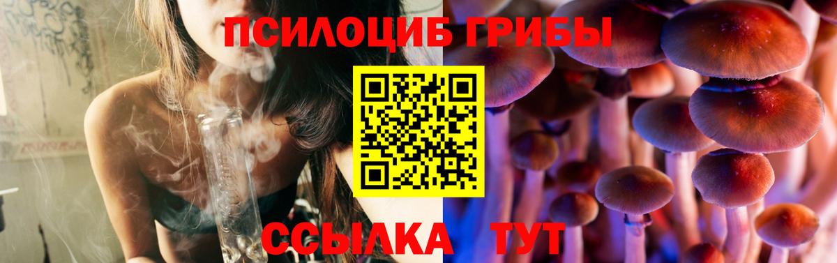 Касимов  что такое   Вход с VPN  Галлюциногенные грибы Magic Shrooms 
